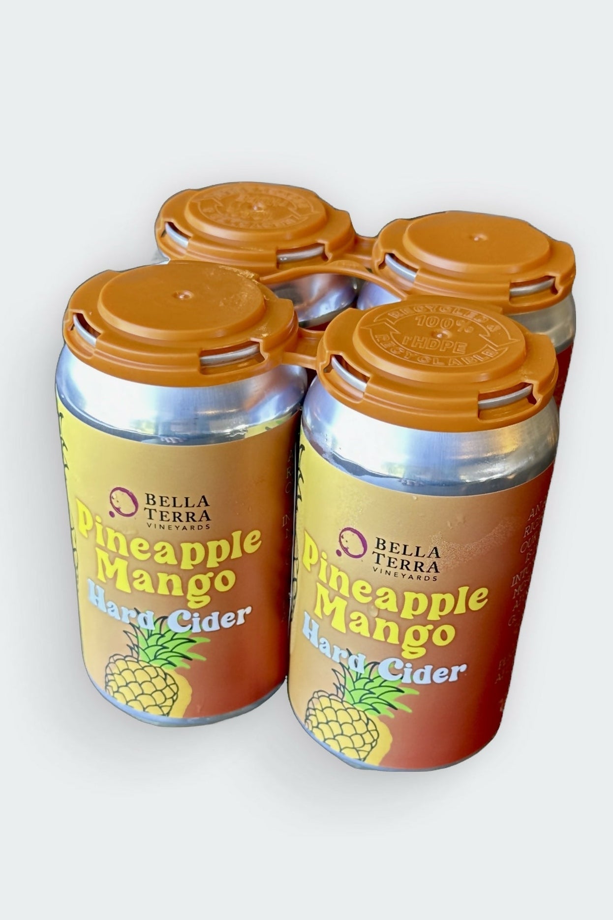 Bella Terra - Pineapple Mango Cider