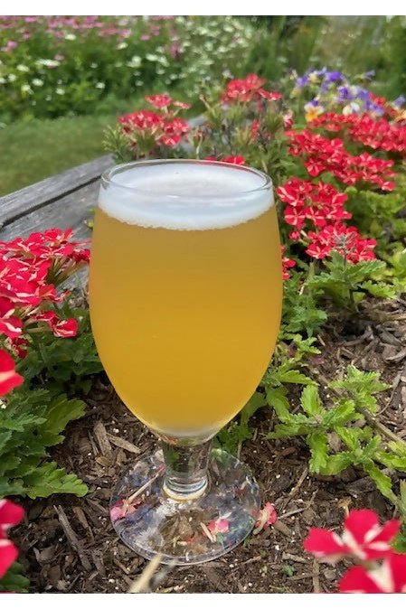 Whitehorse Brewing - San Diego Sour - 1/2 Keg ***Pre-Order 6/03/24***